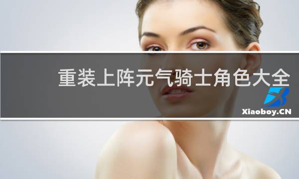 重装上阵元气骑士角色大全