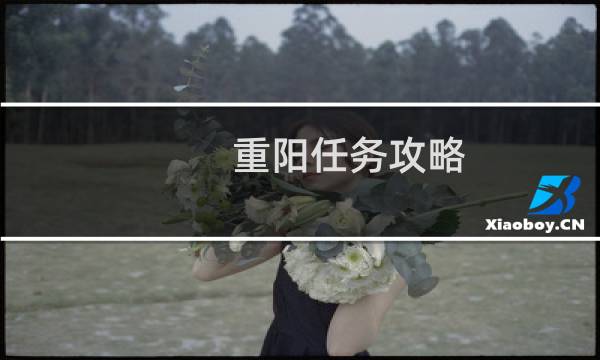 重阳任务攻略