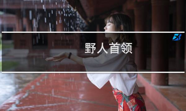 野人首领 攻略