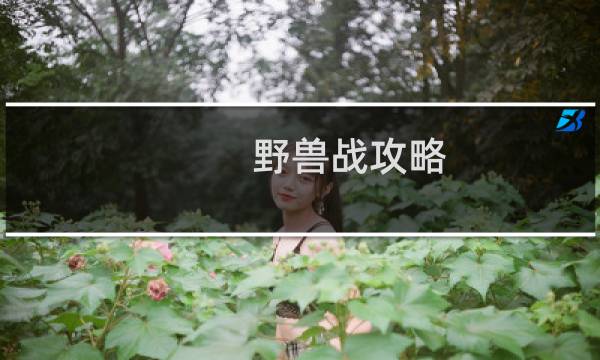 野兽战攻略