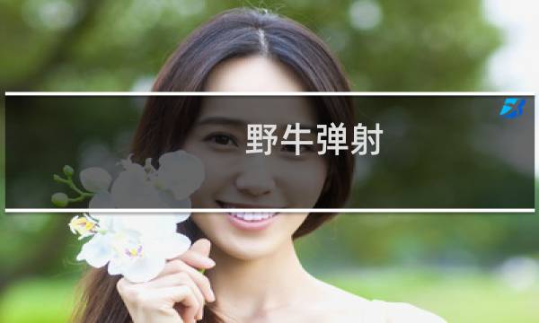 野牛弹射 攻略