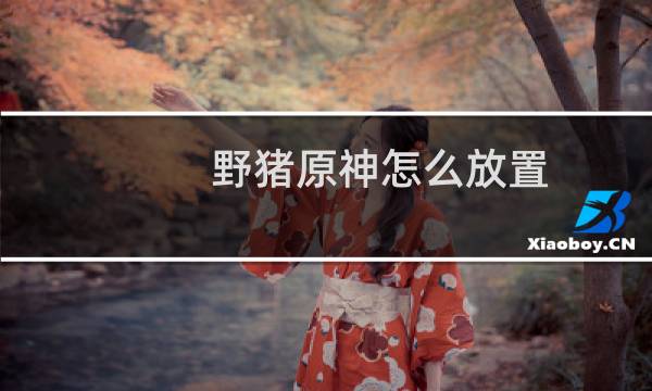 野猪原神怎么放置