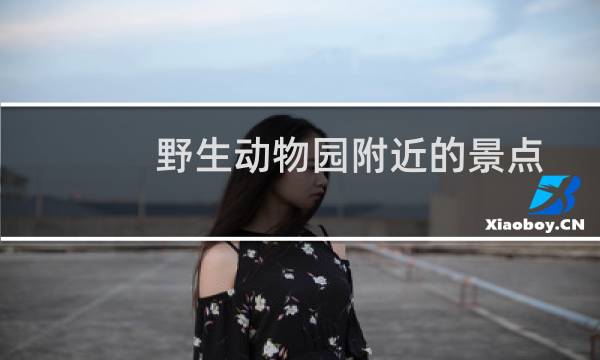 野生动物园附近的景点