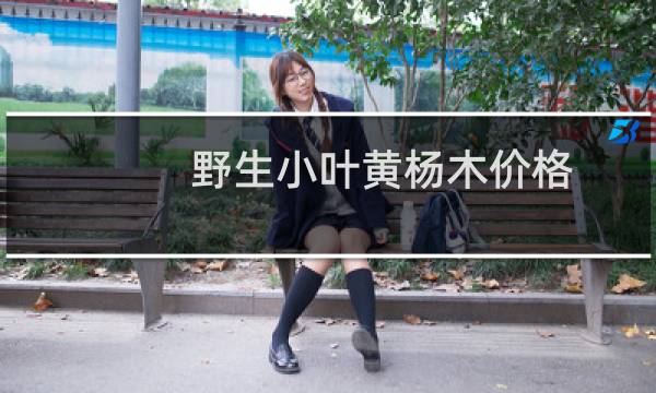 野生小叶黄杨木价格