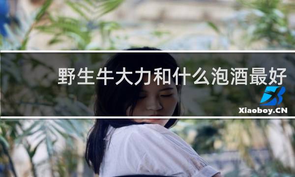 野生牛大力和什么泡酒最好
