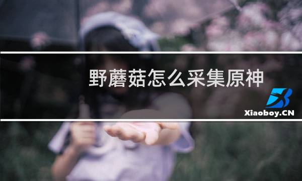 野蘑菇怎么采集原神