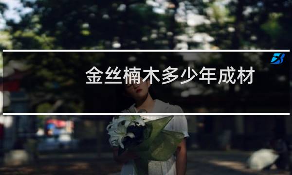 金丝楠木多少年成材
