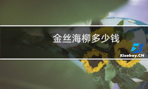 金丝海柳多少钱