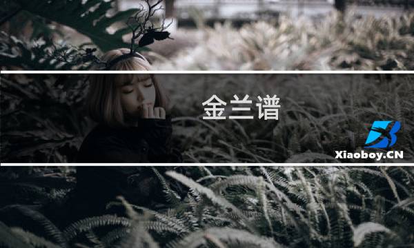 金兰谱 收藏价格