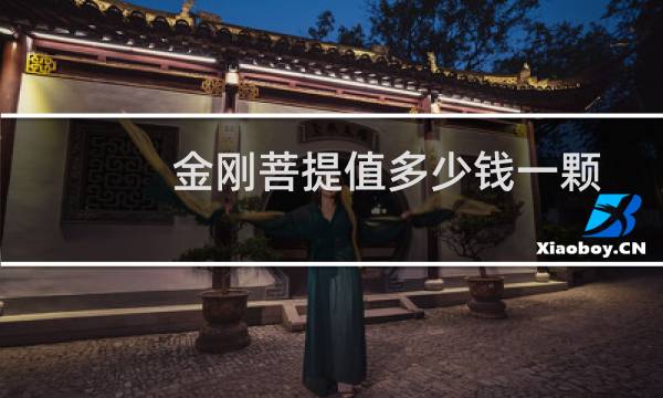 金刚菩提值多少钱一颗