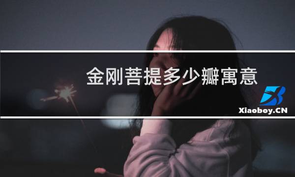 金刚菩提多少瓣寓意