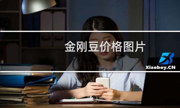 金刚豆价格图片