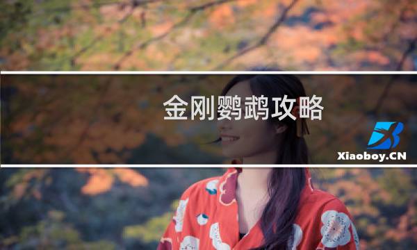 金刚鹦鹉攻略