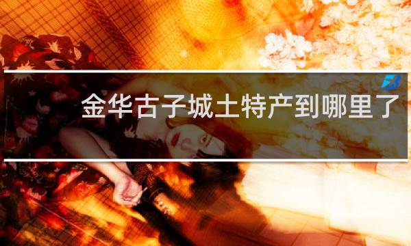 金华古子城土特产到哪里了