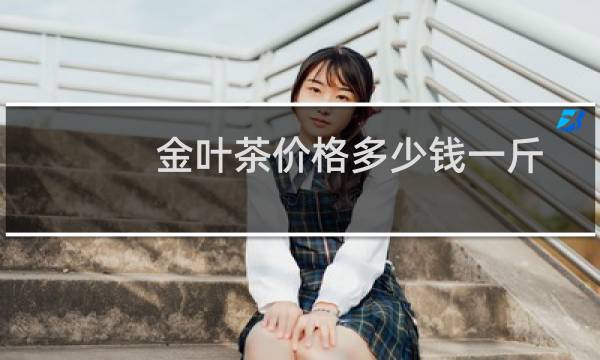 金叶茶价格多少钱一斤