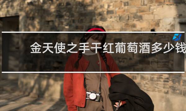 金天使之手干红葡萄酒多少钱