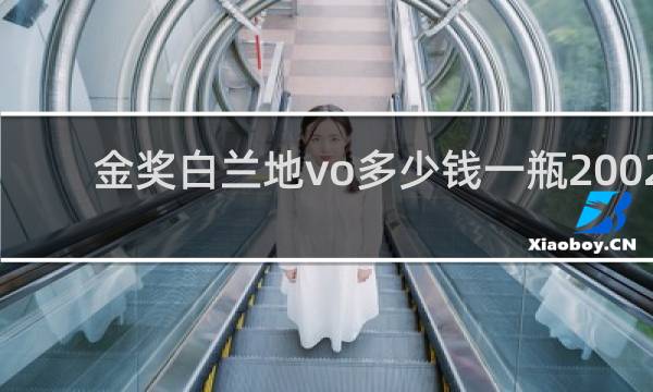金奖白兰地vo多少钱一瓶2002