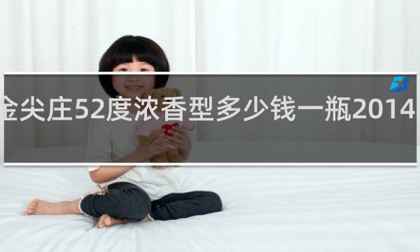 金尖庄52度浓香型多少钱一瓶2014年春节