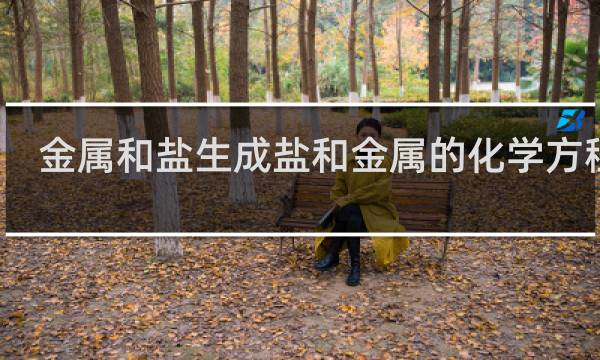 金属和盐生成盐和金属的化学方程式