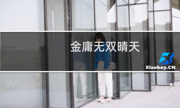 金庸无双晴天 攻略