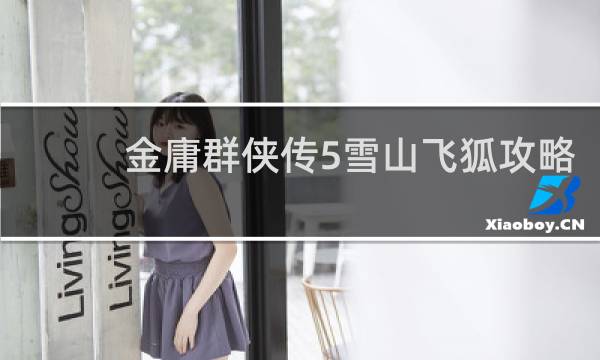 金庸群侠传5雪山飞狐攻略