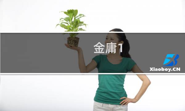 金庸1.0攻略