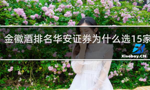 金徽酒排名华安证券为什么选15家排名