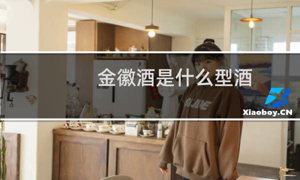 金徽酒是什么型酒