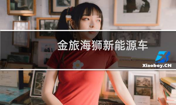 金旅海狮新能源车