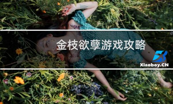金枝欲孽游戏攻略
