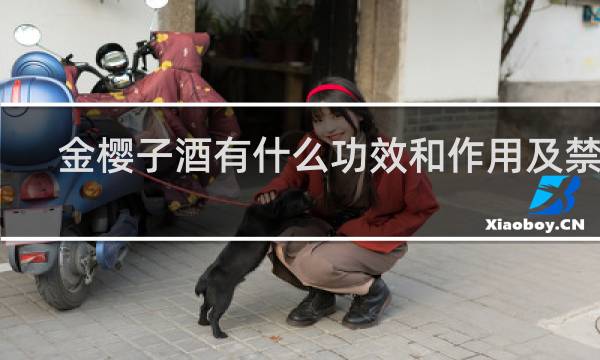 金樱子酒有什么功效和作用及禁忌