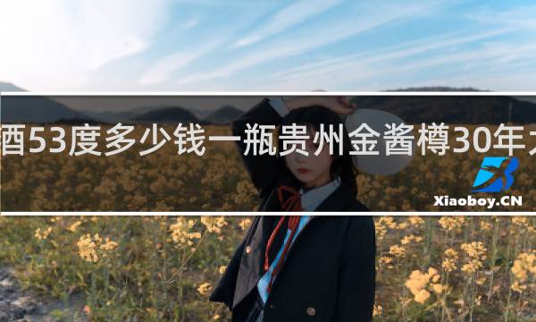 金樽酒53度多少钱一瓶贵州金酱樽30年大师甄品版