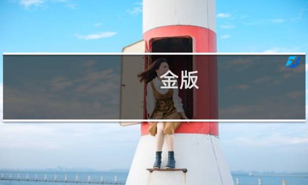 金版 攻略