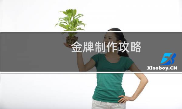 金牌制作攻略