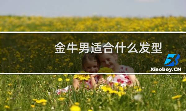 金牛男适合什么发型