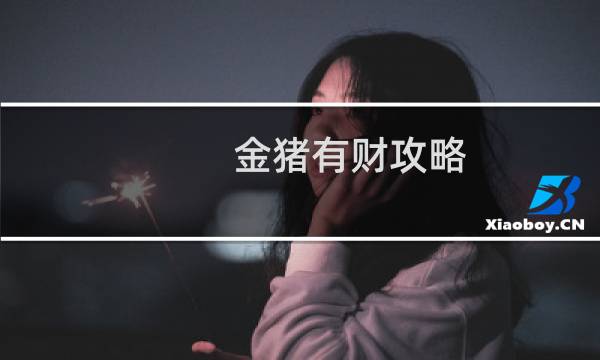 金猪有财攻略
