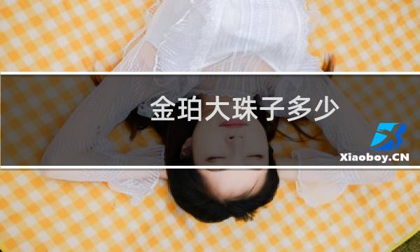金珀大珠子多少
