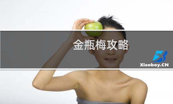 金瓶梅攻略