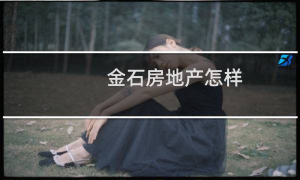 金石房地产怎样