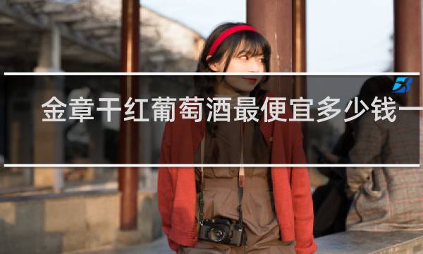 金章干红葡萄酒最便宜多少钱一并