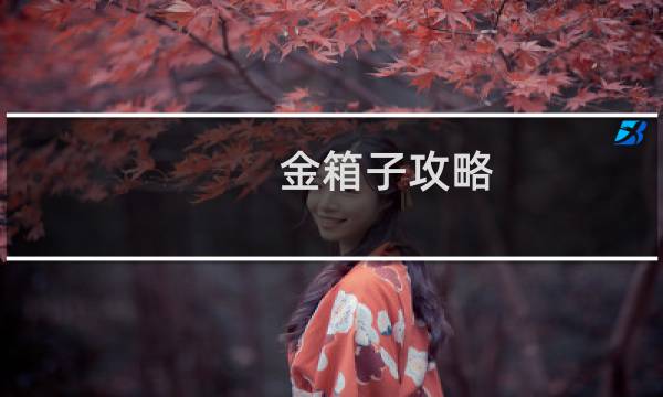 金箱子攻略