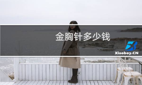 金胸针多少钱