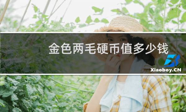 金色两毛硬币值多少钱