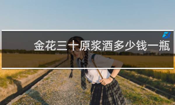 金花三十原浆酒多少钱一瓶