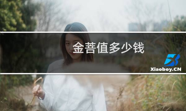 金菩值多少钱