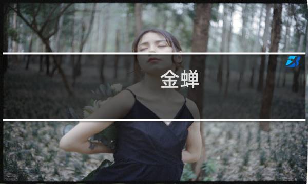 金蝉 辅助出装最新