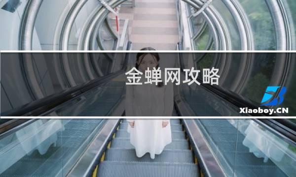 金蝉网攻略