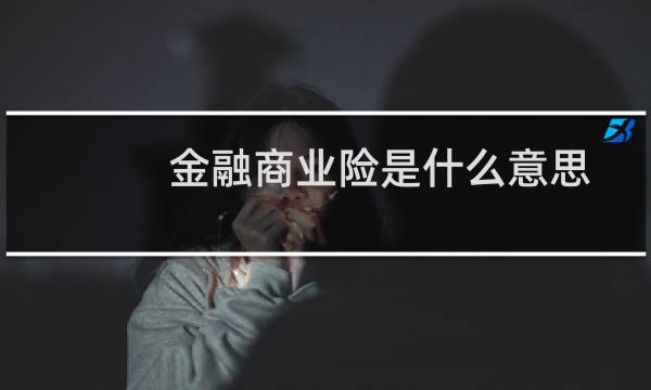 金融商业险是什么意思