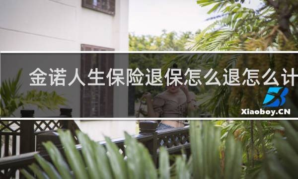 金诺人生保险退保怎么退怎么计算