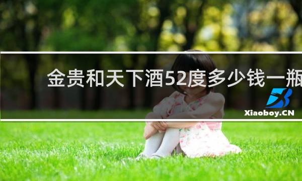 金贵和天下酒52度多少钱一瓶